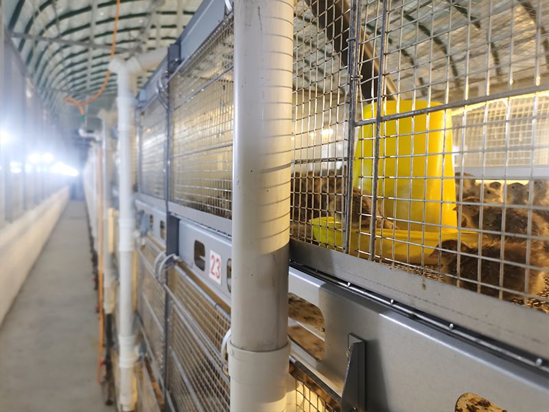 層疊式自動化養殖設備